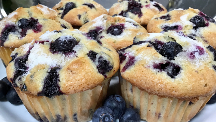 Jordan Marsh Blueberry Muffins